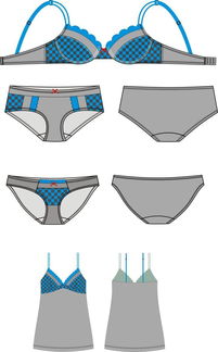 内衣文胸套装系列产品款式图